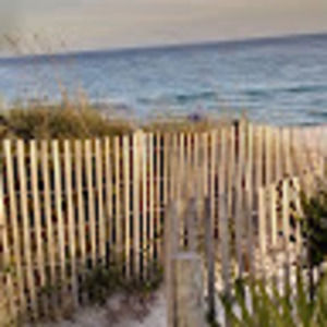 Meet your Posher, Paula